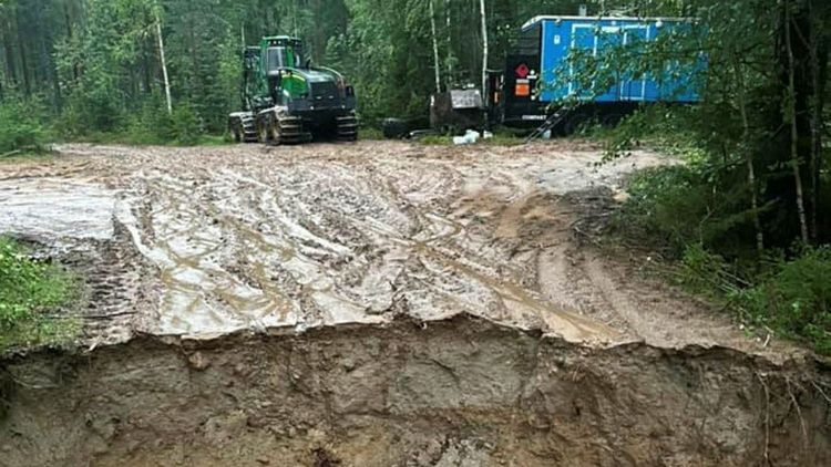 Skogsbilvägen spolades bort –
kollegorna strandsatta