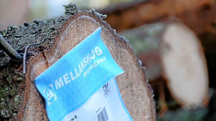 Mellanskog ser orosmoln trots bättre resultat