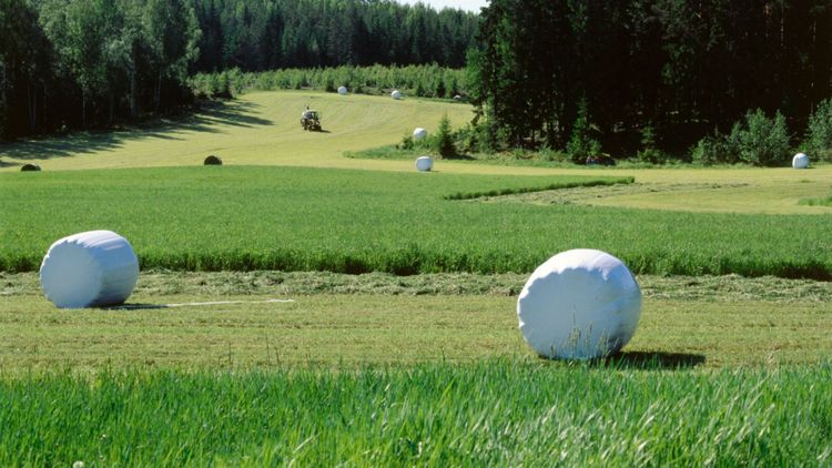 Lantbrukare avled – fick bal över sig