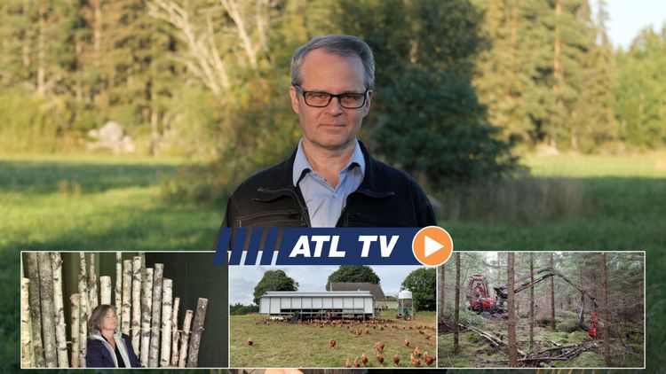 ATL TV: Här är Alstors nya skördare