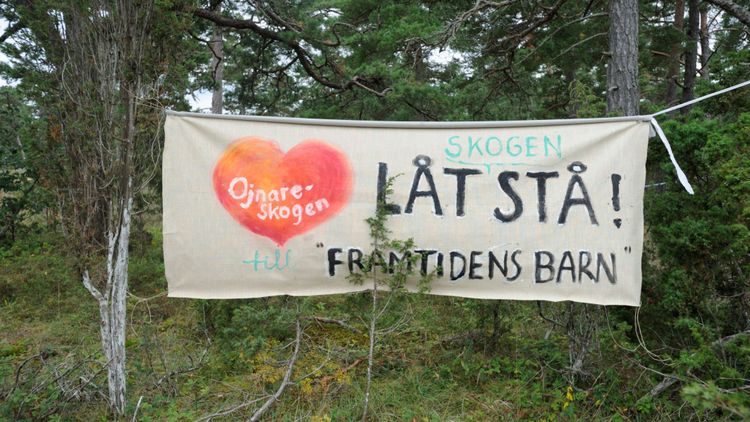 Organisationerna som samarbetar med aktivisterna