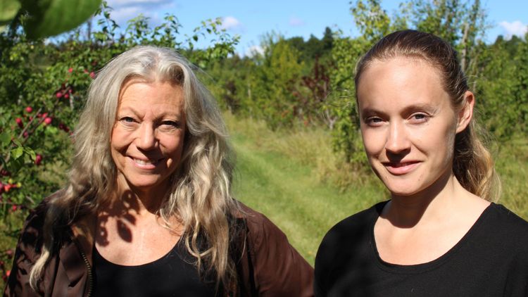 De vill pressa lönsamhet ur äpplen
