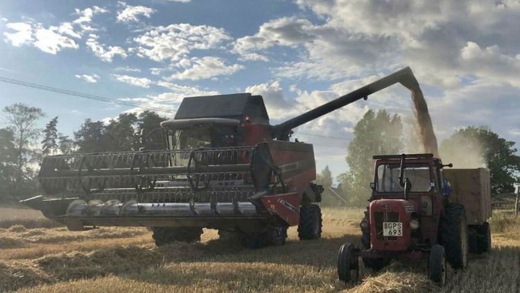 Bildextra: Härligaste bilderna från årets skörd