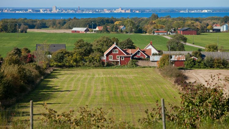 Här är det svårast att hitta arbetskraft till lantbruket