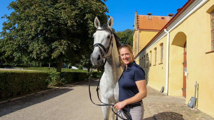Avelshingstarna lämnar Flyinge