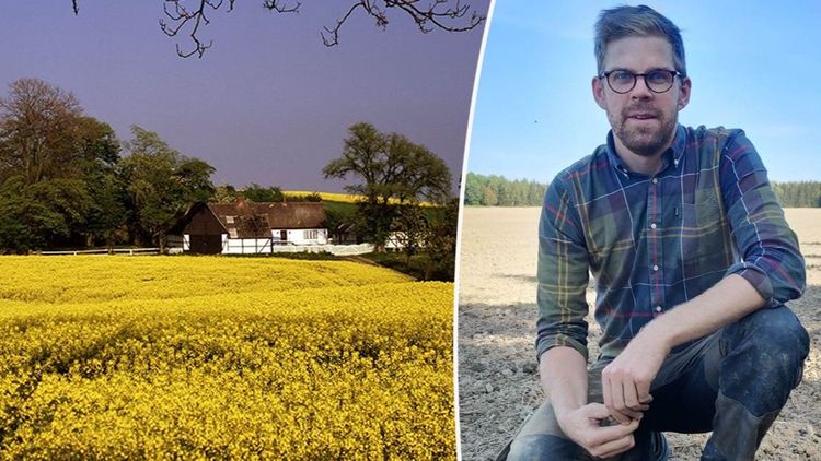Höstrapsen väntas slå alla tidigare rekord