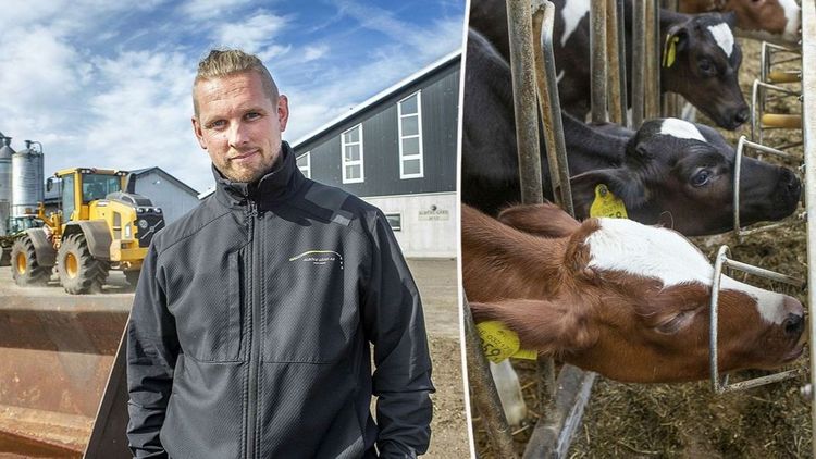 Tydliga mål lyfte mjölkgårdens produktion
