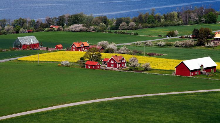 ”KD vässar landsbygdspolitiken”