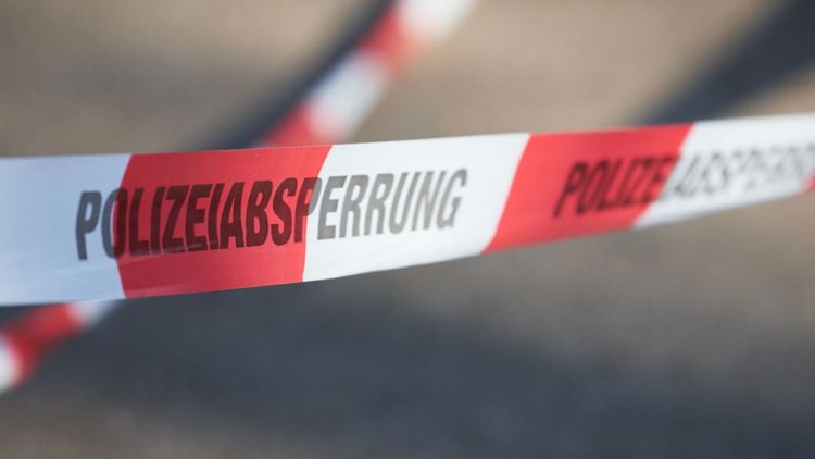 850 döda grisar funna på övergiven gård