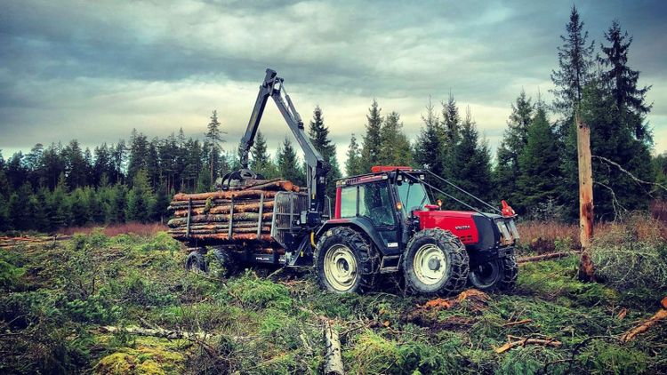 Bildspecial: Följarnas bästa huggarvagnar