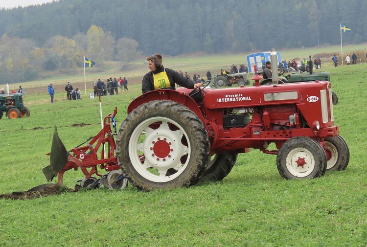 Startskottet har gått! SM-debutanten Simon Persson från Värmland smyger iväg spikrakt med sin IH B614. Den engelska traktorn är från 1964 och den tvåskäriga plogen är även den en IH.
