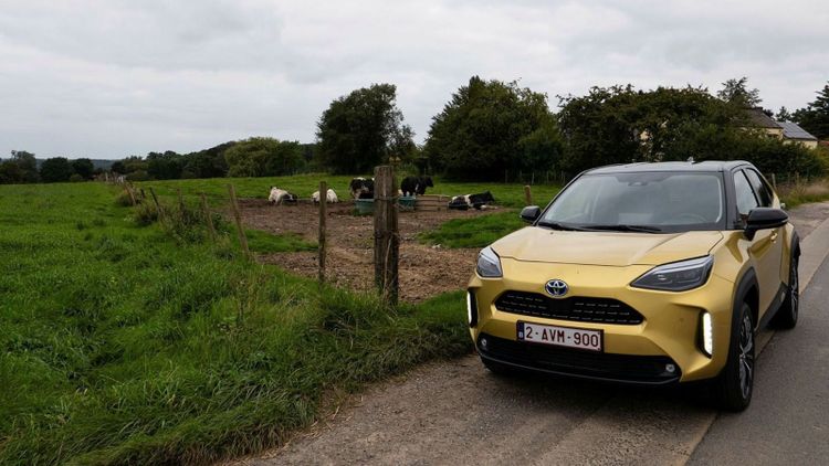 Smart hybridteknik och fyrhjulsdrift i ny kompaktsuv