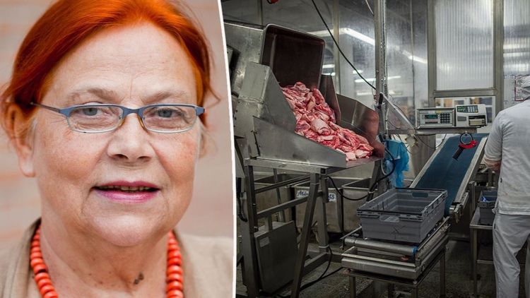 ”Saknas förståelse kring hur jordbruk fungerar”