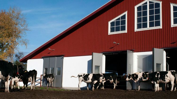 Här är Arlas första svenska innovationsgård