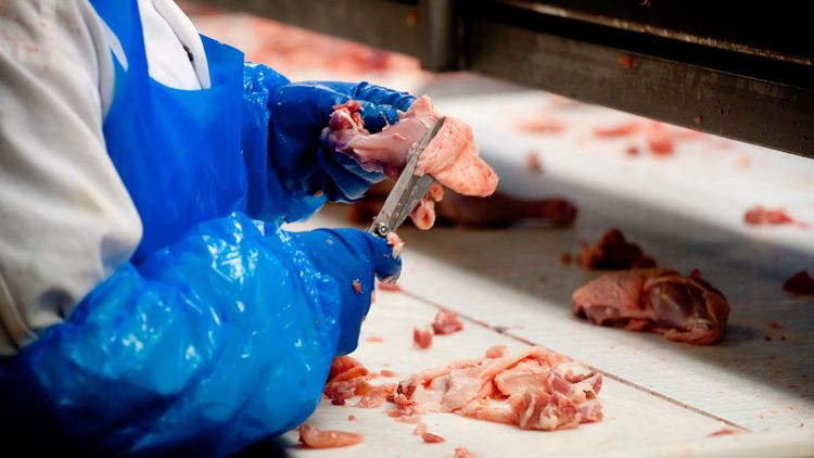 Kronfågels minskade intag gäller alla producenter