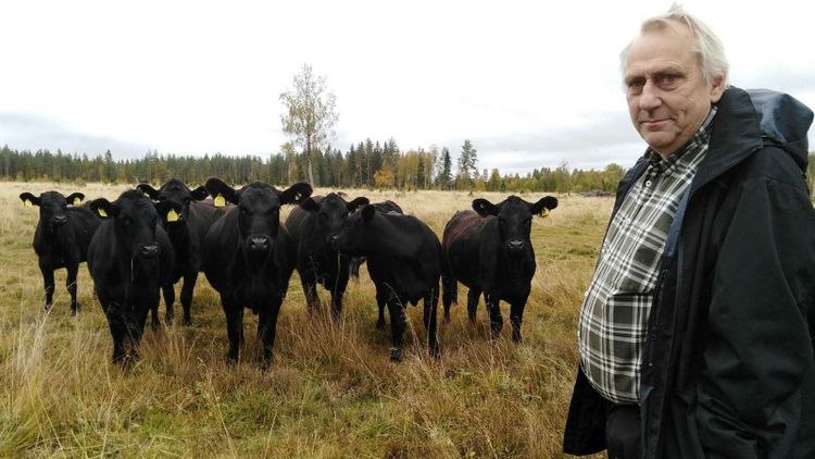 Han lämnade lärarjobbet för att satsa på naturbeteskött