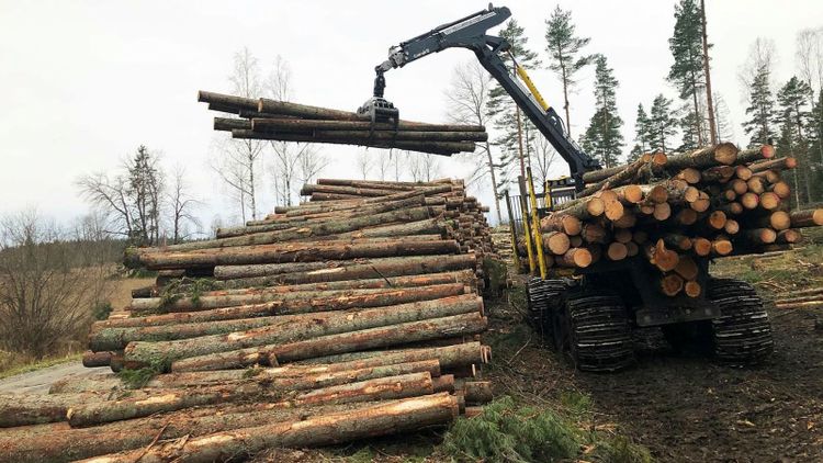 Ny anmälan hotar Stora Enso