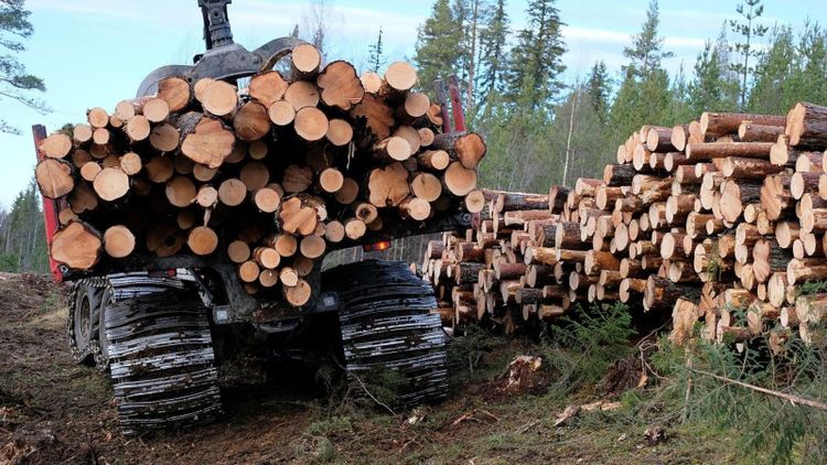 Entreprenören: Allt går schysst till