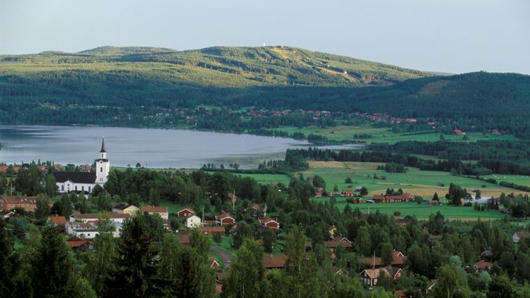 ”Låt kyrkans medlemmar bestämma över sin skog”