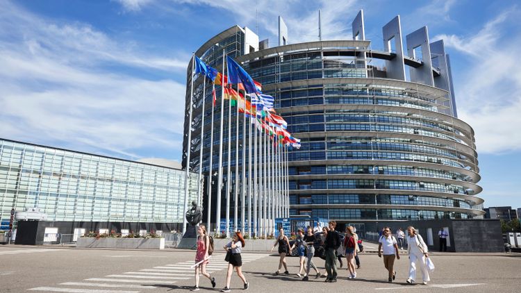 EU-parlamentet stöttar höjda miljömål för jordbruket