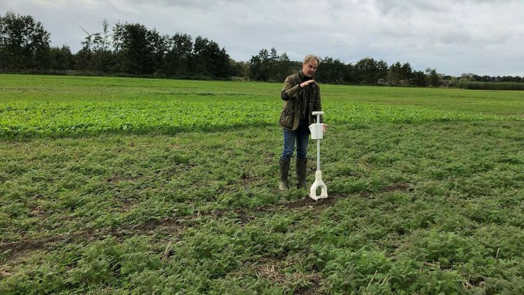 Renässans för klimatsmarta mellangrödor i Skåne