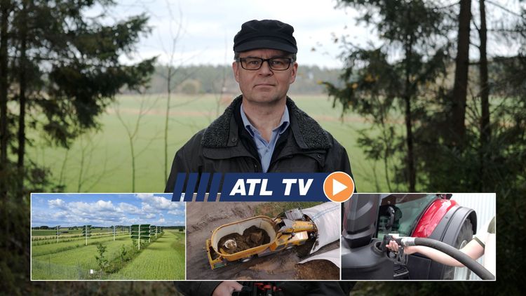ATL TV: De satsar på solpaneler i alléer