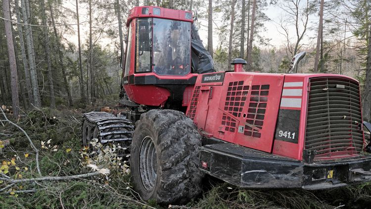 Omoraliskt att satsa på utländska förare