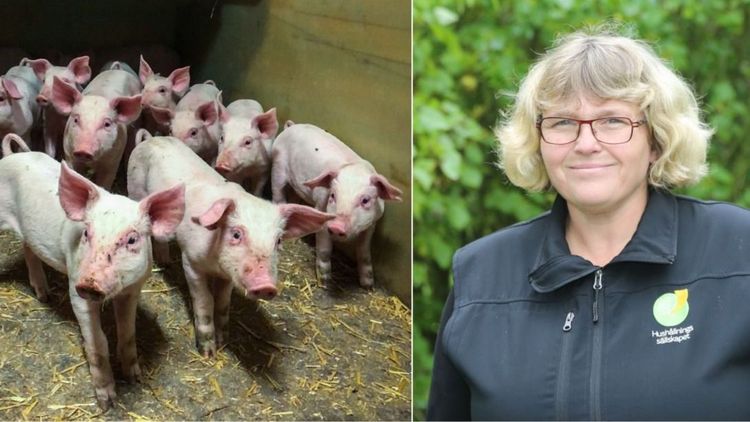 Rådgivaren: Återhållsamhet blir nyckelordet