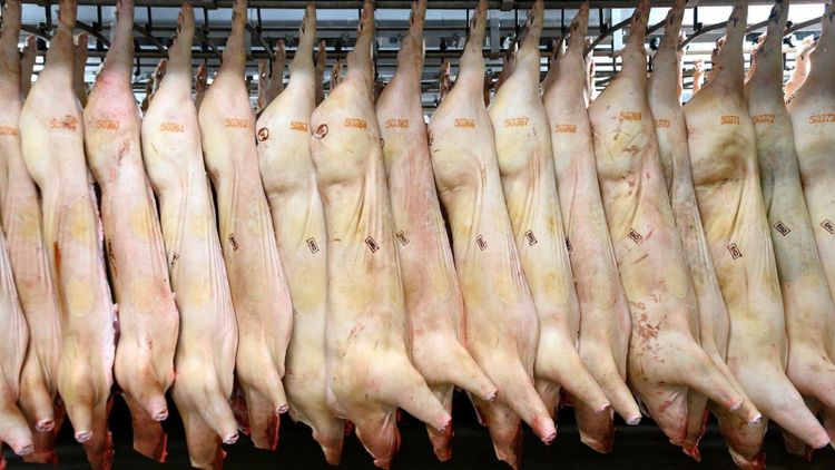 KLS Ugglarps köper Charkuterifabriken
