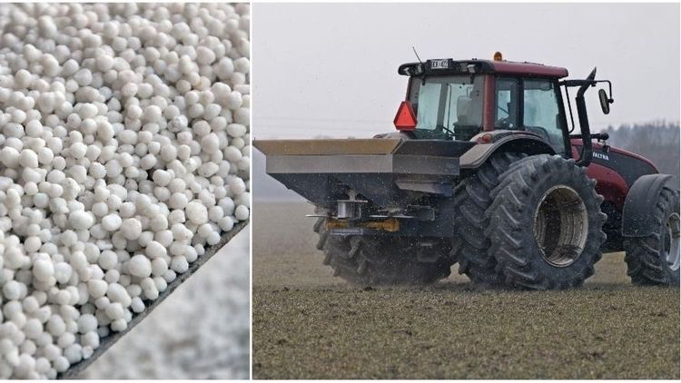 Svenska gödselpriser kan stiga när Ryssland stryper exporten