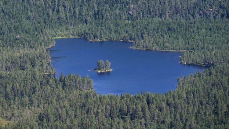 Tre miljarder till forskning om hållbarhet