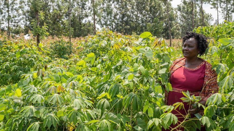 Klimatkrisen är ett akut hot mot världens matproduktion
