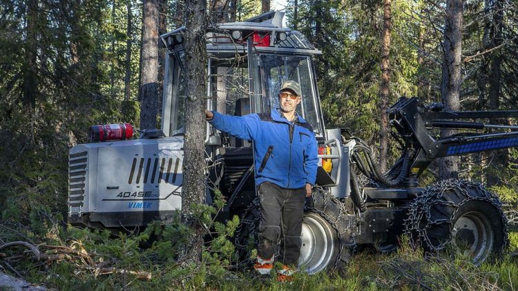 Förlustaffär att gallra i skog med törskate