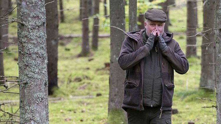 Så lockar du till dig älgen