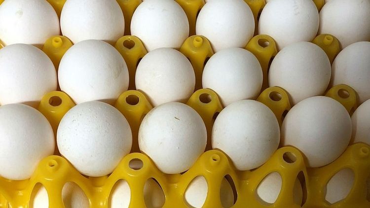 Producent sålde ägg utan tillstånd