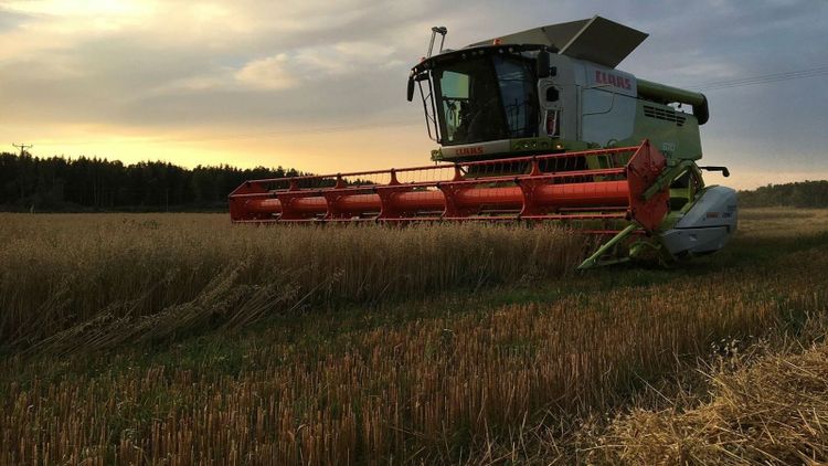 Havre har framtiden för sig – även i norr