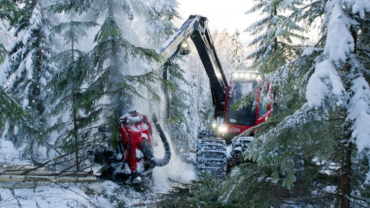 Från nationell stolthet till politisk slagpåse