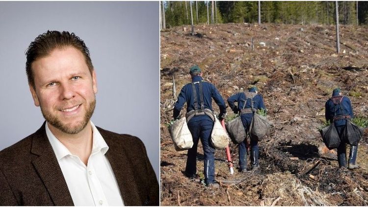 Vill se fortsatt satsning på skogsjobb till arbetslösa
