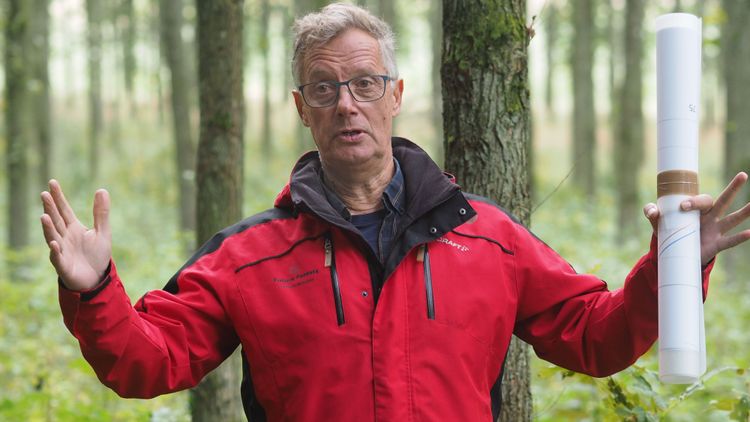 Forskare ser helt nya möjligheter för lövskog