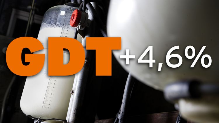 Mjölkprisindex tog ett skutt uppåt