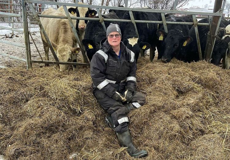 Ann-Kristin Lundström framför ett antal av sina kor.
