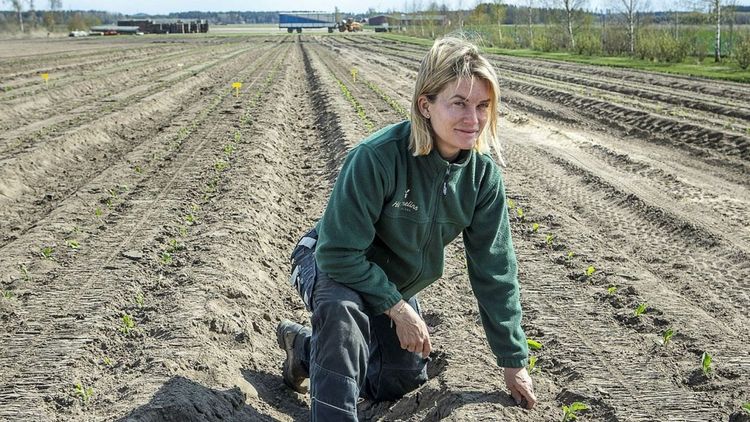 Magdalena Hermelin: ”Bra mat till låga priser är en utopi”