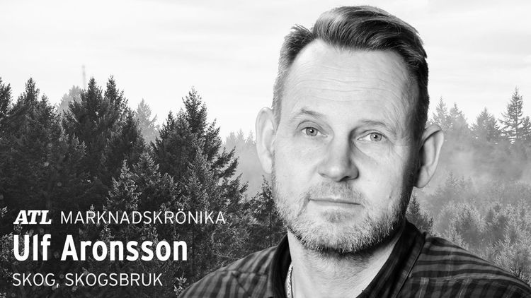 Utan prisstatistik famlar virkessäljarna i mörkret
