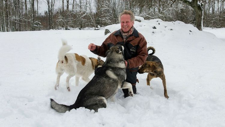 Eftersök en utmaning för både jägare och hund