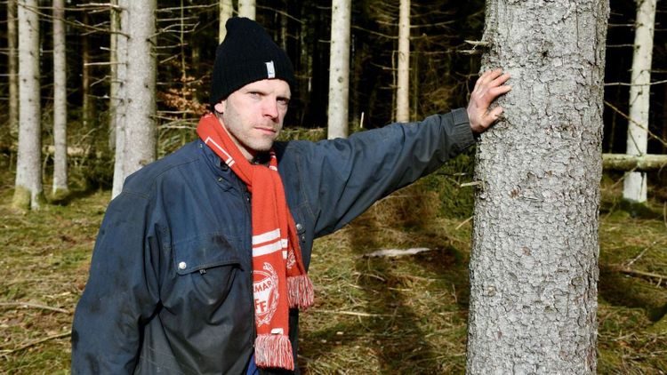 Kampen mot granbarkborren blir allt tyngre