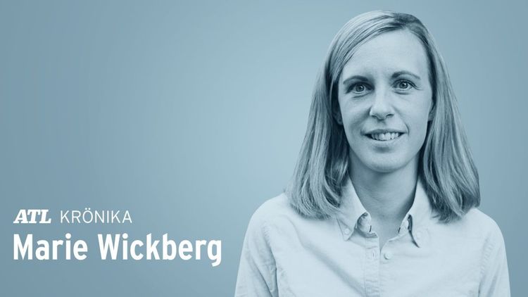 ”Sverige vill tillbaka till ett förindustriellt tillstånd”