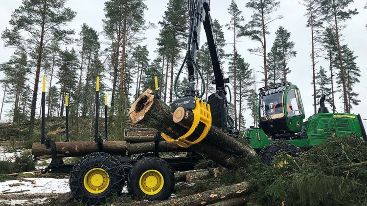 Fritt fall på skotarmarknaden