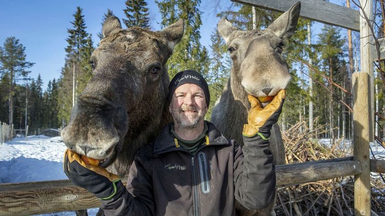 Viltparken blev en ny intäktskälla från skogen
