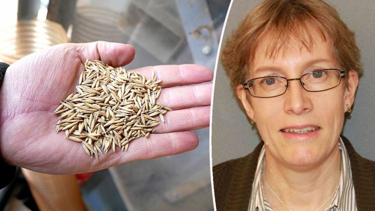 Trots brist på ekologiskt utsäde – färre dispenser än väntat