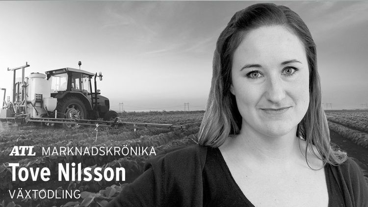 Goda utsikter för europeisk spannmål kan avhjälpa brist